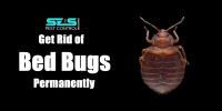 SES Bed Bug Control Melbourne image 3